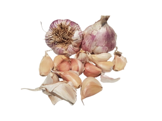 Germidour