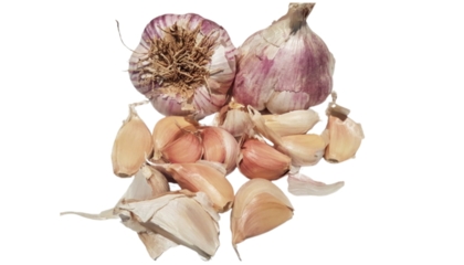 Germidour