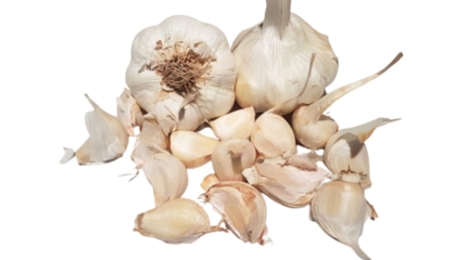 Messidor